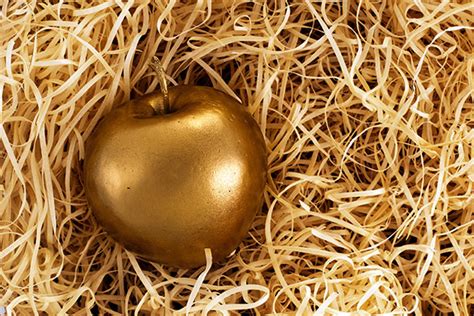The Midas Paradox: The Duality of Wealth and Happiness